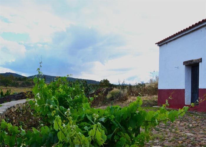 Casa Rural El Abuelo Alonso La Codosera Eksteriør bilde
